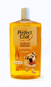 shampoo2